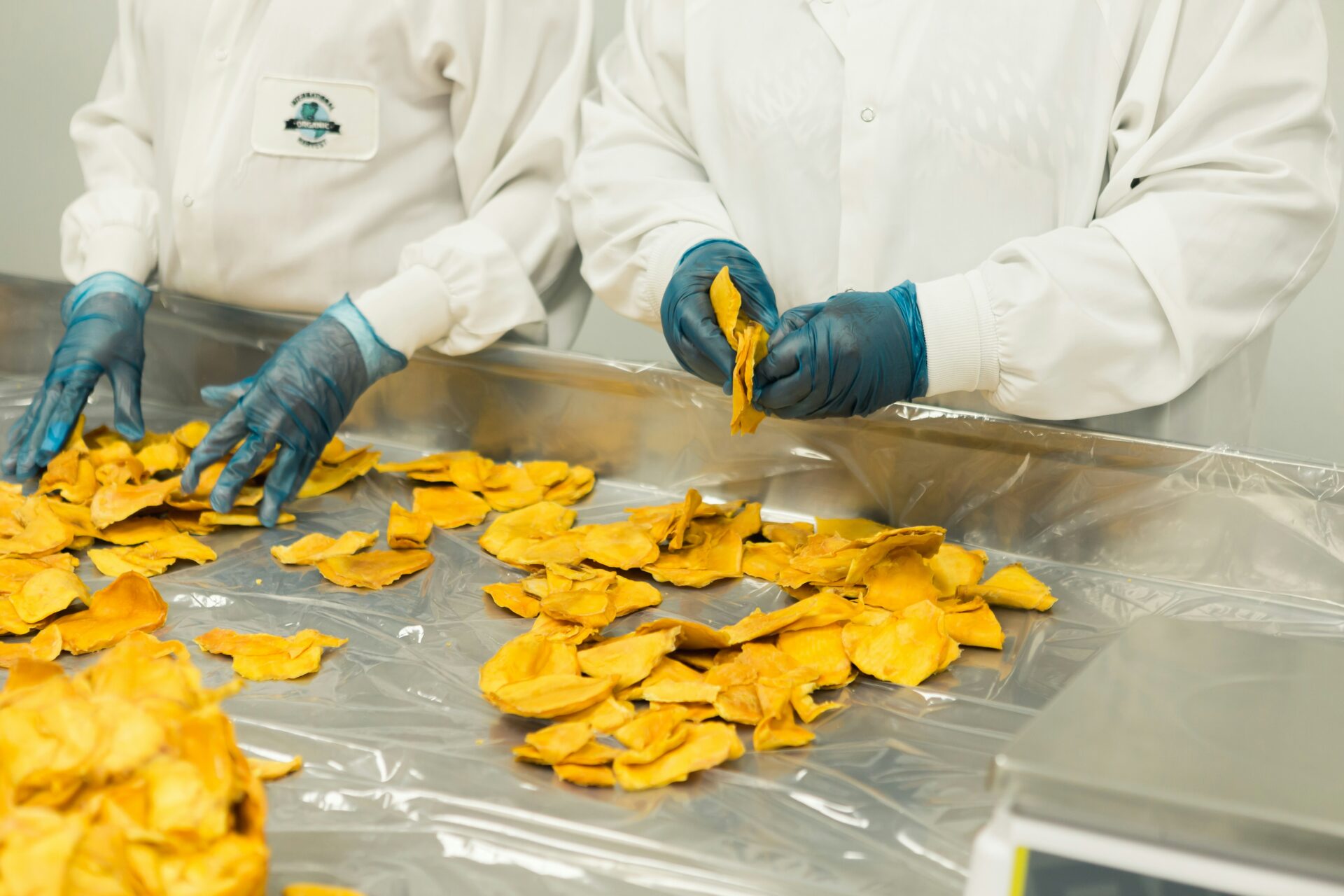 Food and Beverage Industry
